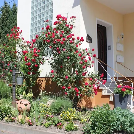Ferienwohnung Rosemarie Kamp-Bornhofen Exterior photo